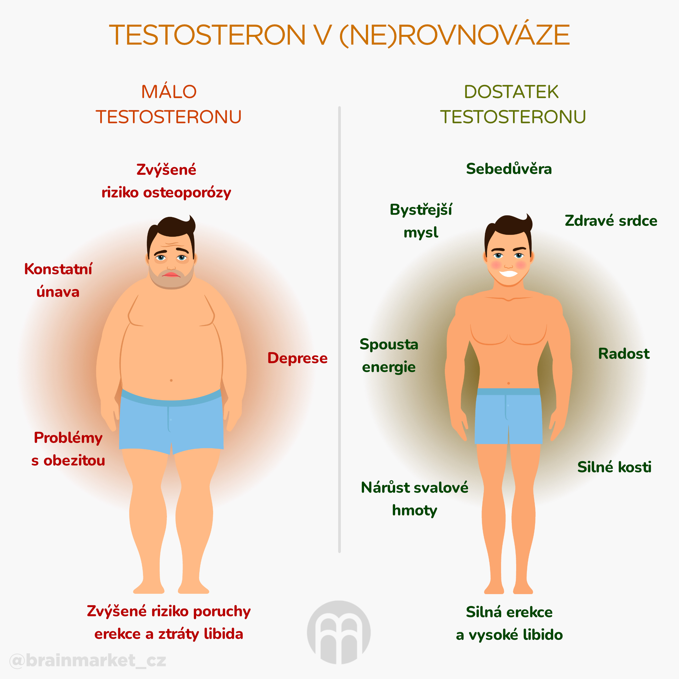 test0steron v ne rovnovaze_infografika2_cz